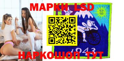 шишки Новодвинск