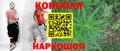 шишки Новозыбков