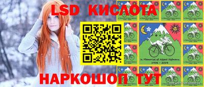 шишки Новозыбков