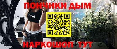 шишки Новодвинск