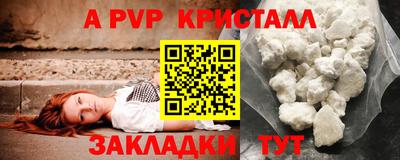 шишки Новодвинск