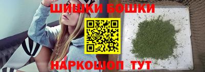 шишки Новозыбков
