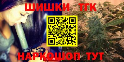 шишки Новодвинск