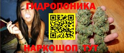 шишки Новозыбков