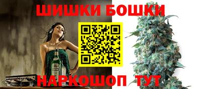 шишки Новодвинск
