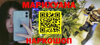 шишки Новодвинск