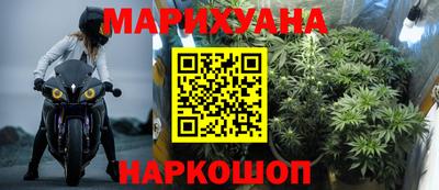 шишки Новодвинск