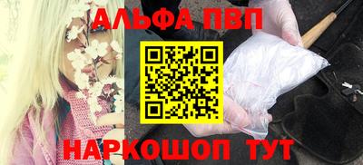 шишки Новодвинск