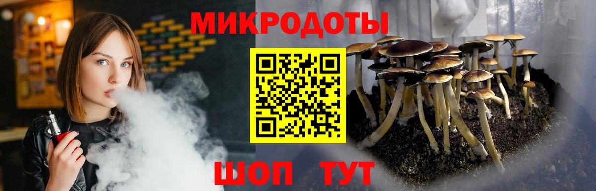 Сунжа  Галлюциногенные грибы мухоморы  Вход с VPN 