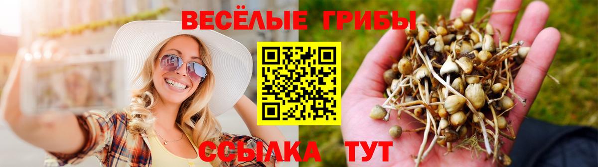 Галлюциногенные грибы мухоморы Сунжа